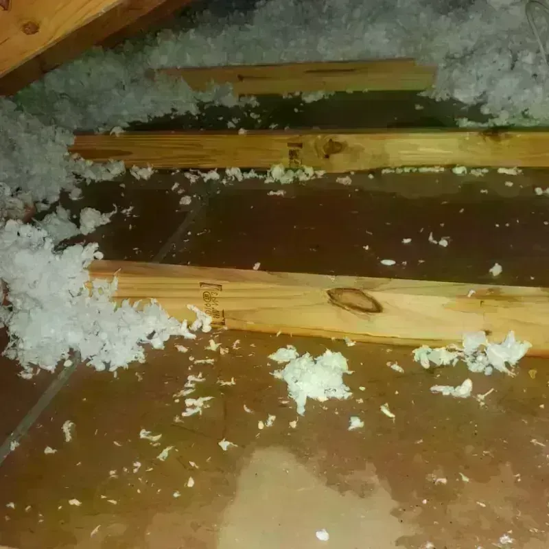 Attic Water Damage in Millville, UT